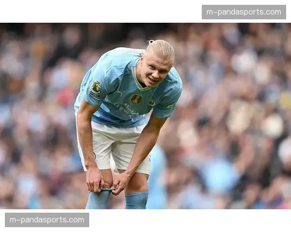 哈兰德平均99分钟造一球效率居首，谢尔基100分钟紧随其后